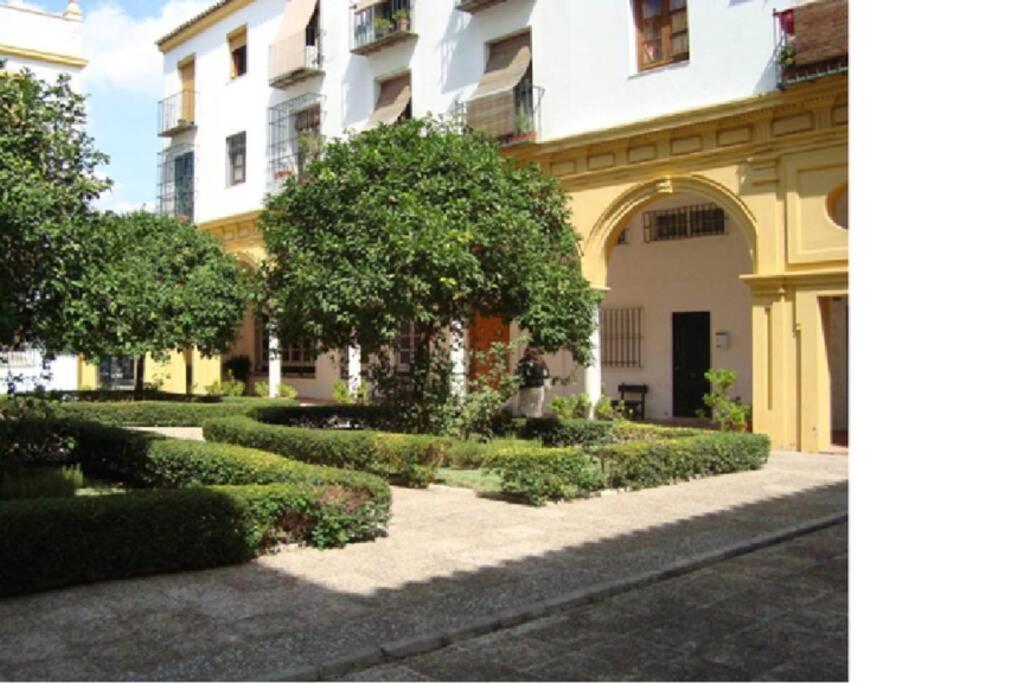 Centrico Y Amplio Apartamento 100% Equipado Jerez de la Frontera Exteriér fotografie